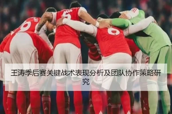 王涛季后赛关键战术表现分析及团队协作策略研究