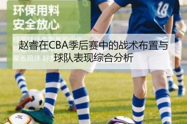 赵睿在CBA季后赛中的战术布置与球队表现综合分析